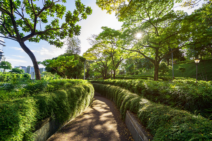 How SodaStream® Plays a Part in the Singapore Green Plan 2030
