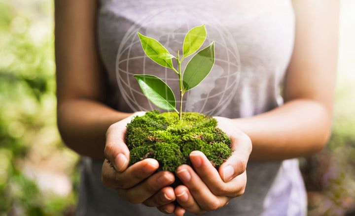 Pollution and Its Effects on Human Health