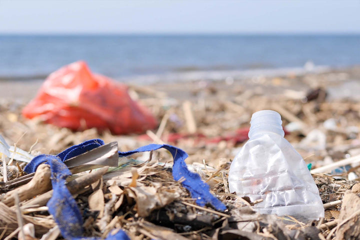 From Linear to Circular: Fighting the Battle of Plastic Pollution