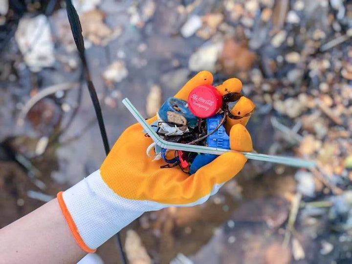 Stop Microplastics from Getting into Your GUT